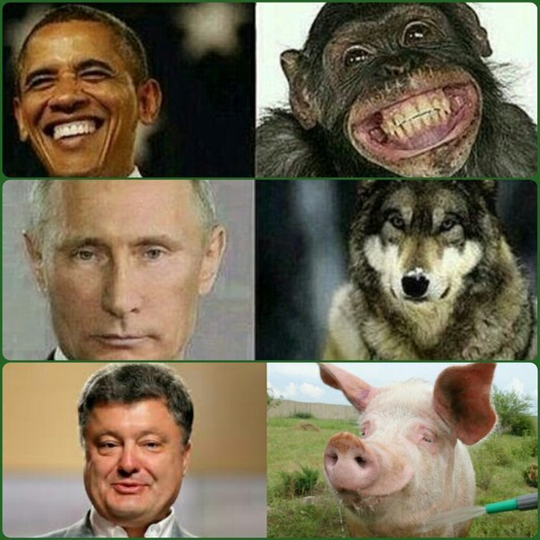 Подборка прикольных фото на пятницу