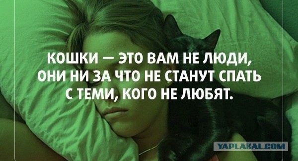 Разные картинки из сети