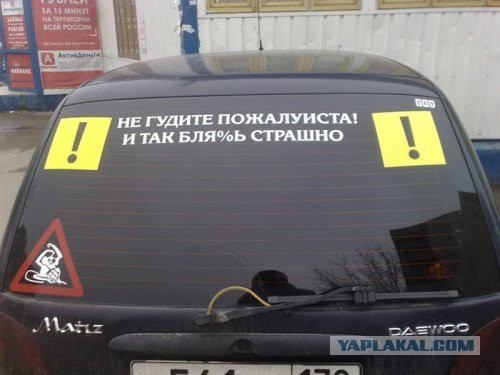 Забавные картинки из Сети