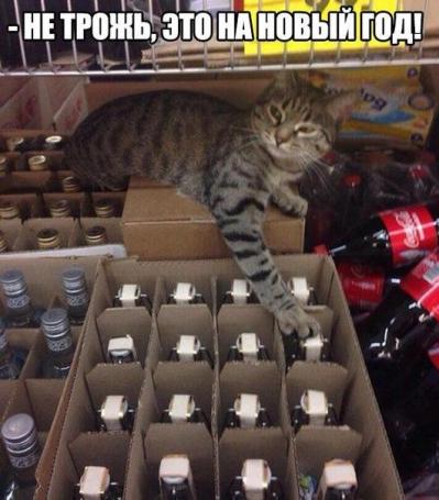 Новогодние демотиваторы 2016