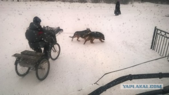 Где то в России