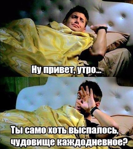 Подборка картинок из сети