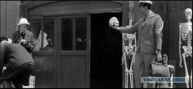 Как нашли собаку