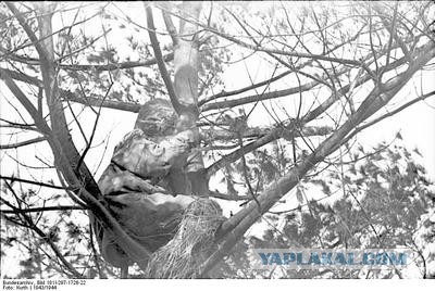 Триста спартанцев и 89 "Фердинандов"