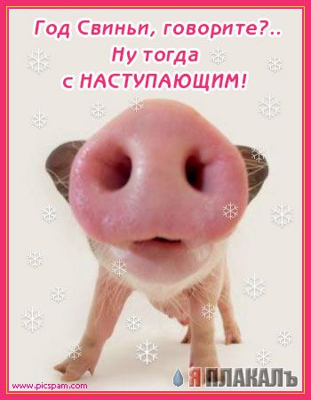 С НОВЫМ ГОДОМ ЯПъ