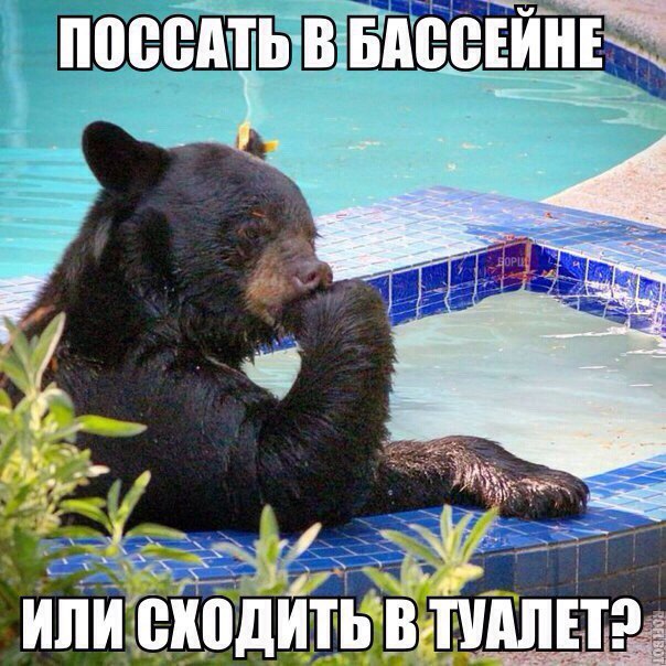 Подборка интересных и смешных картинок