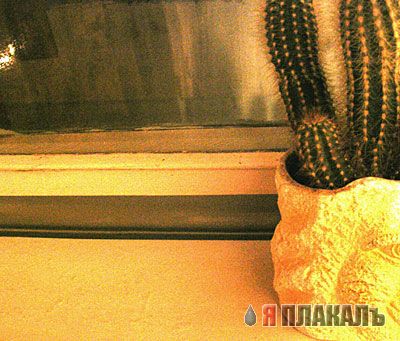 Зима пришла
