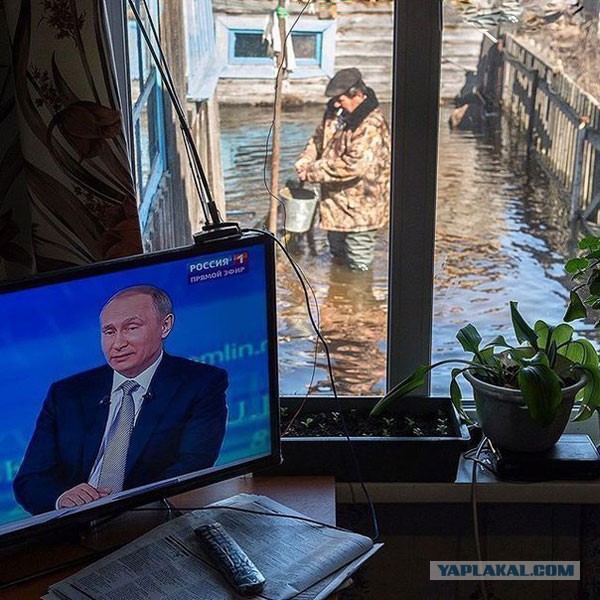 Порция картинок из сети
