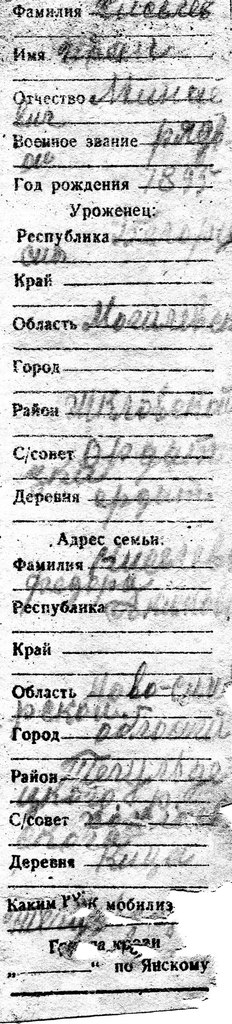 Эхо войны. Убит под Ржевом. Жизнь и судьба русского солдата Ивана Киселева