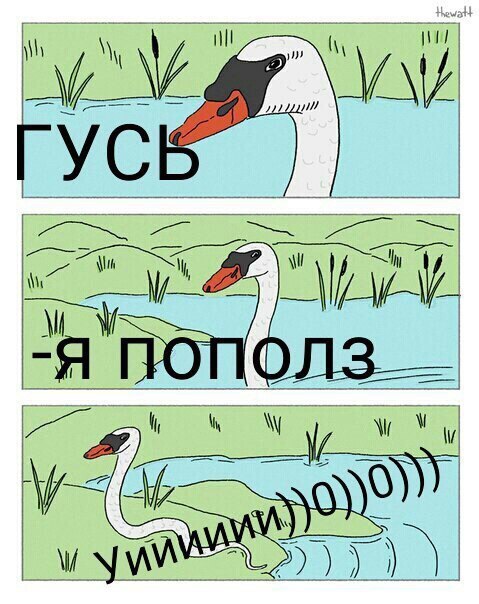 Расколбас и маразм