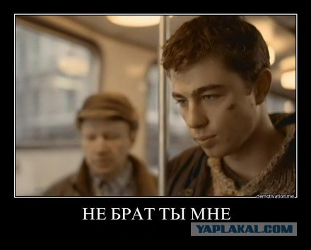 Овца идёт в бар