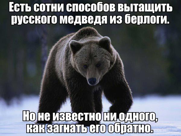 Coub-Ы на Четверг
