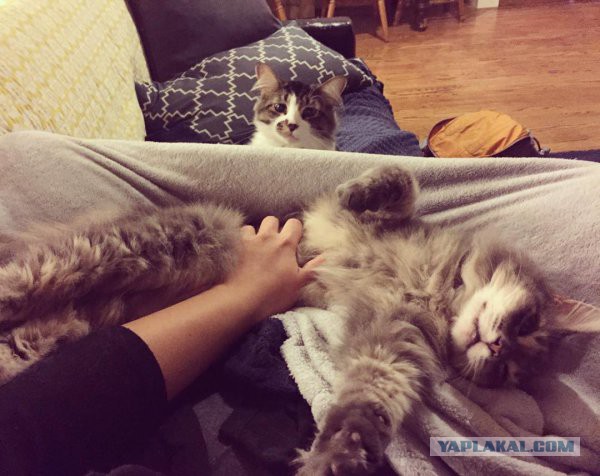 Фотки всякие разные...