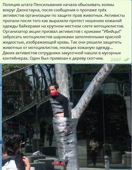 Подборка интересных и веселых картинок