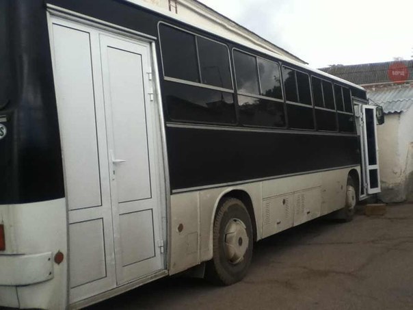 Подборка безудержного веселья