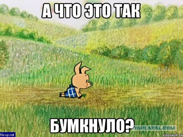 Штраф за выброшенный в неположенном месте окурок