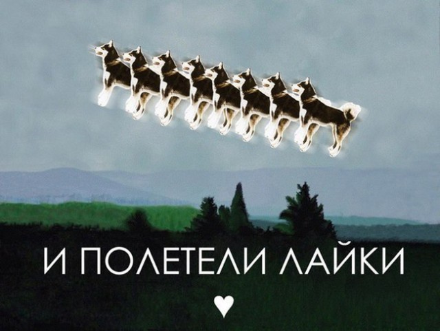 Домашние лайки растерзали оленью упряжку в Воркуте