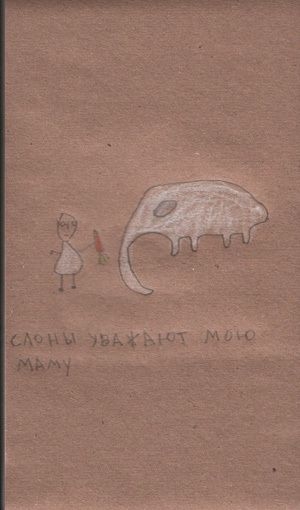 Все о слонах