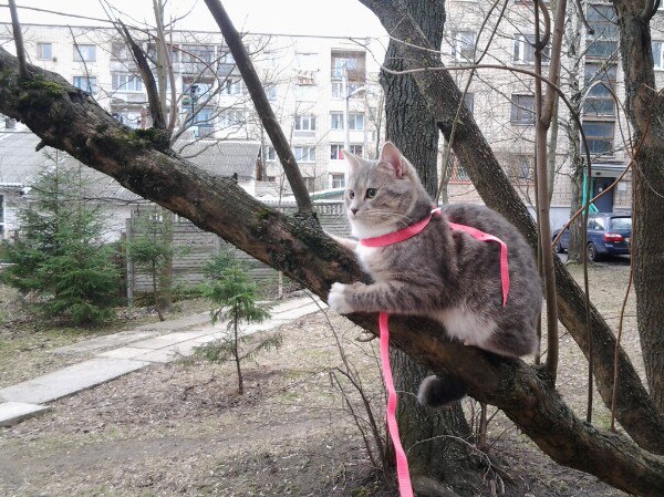 Приз дня