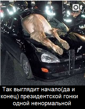 Перлы