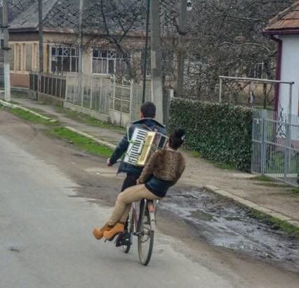 Картинок всяких разных