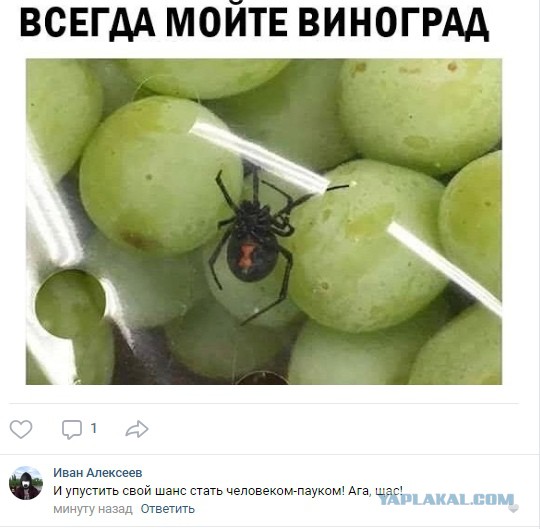 Смешные комментарии из социальных сетей 13.07.2018