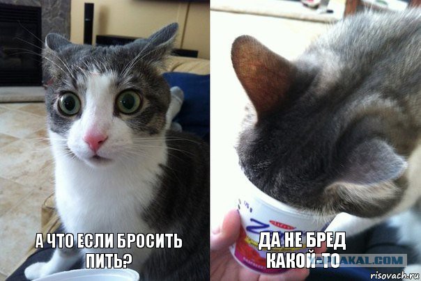Более 300 тел найдено в братской могиле под Рязанью.