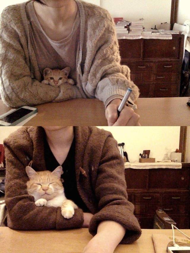 Не самый лучший день
