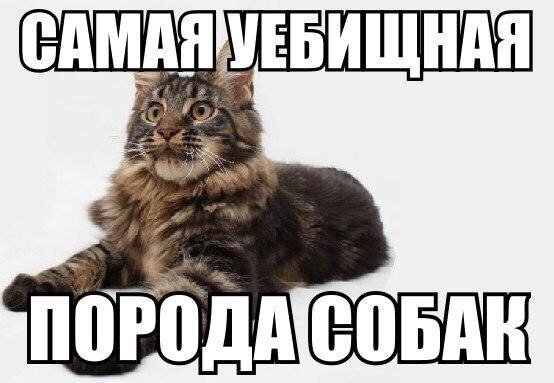 Картинок разных на пятницу
