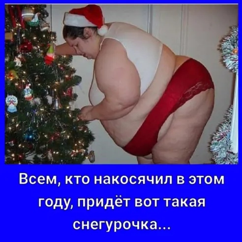 Скотсети и прочие интернеты 28.12.18