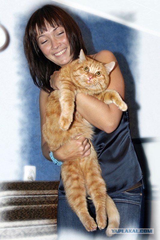 Котовторник 07.08.2012