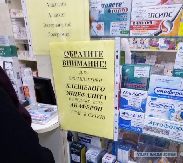 Просто про целителей