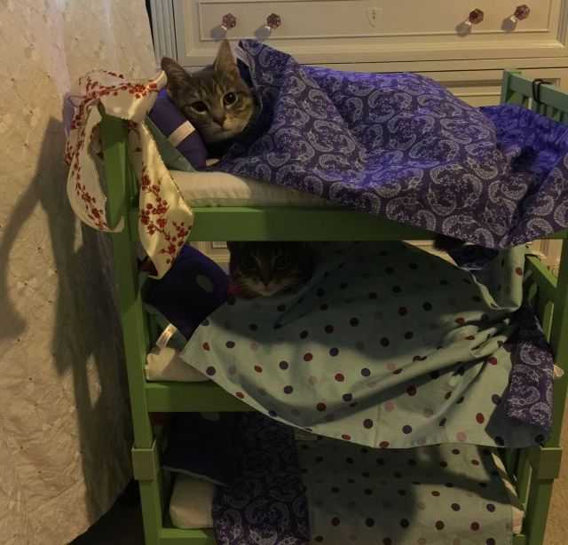 Картинки, которые я НЕ видел на портале
