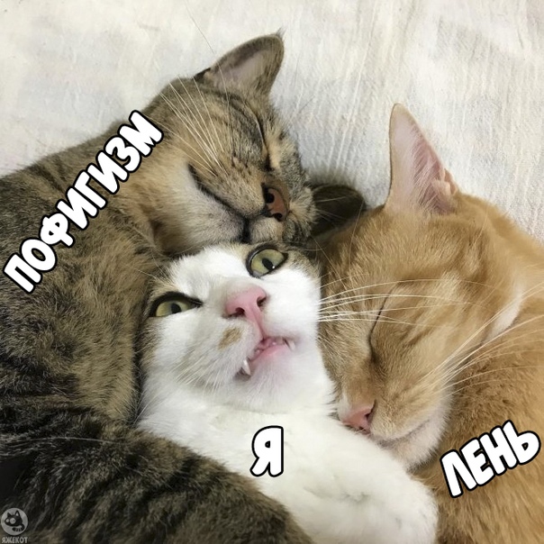 Немного картинок для настроения
