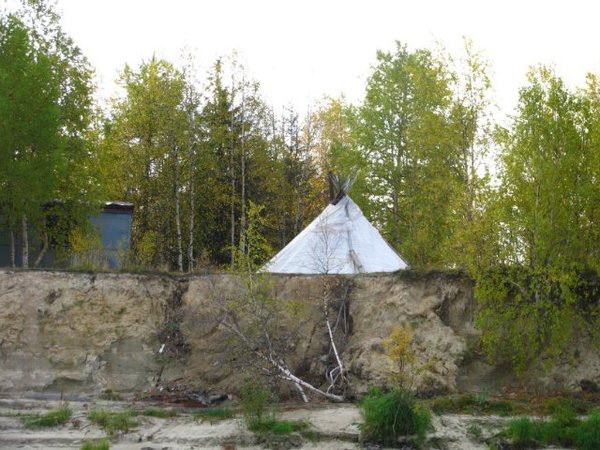 Экспедиция в Северную Тайгу