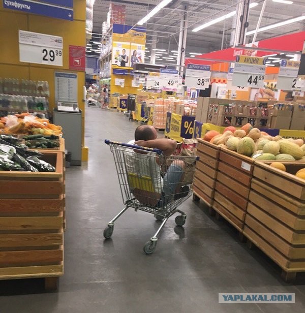 Можно ли возить детей в продуктовых тележках?