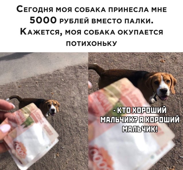 Немного картинок для настроения 28.03.20