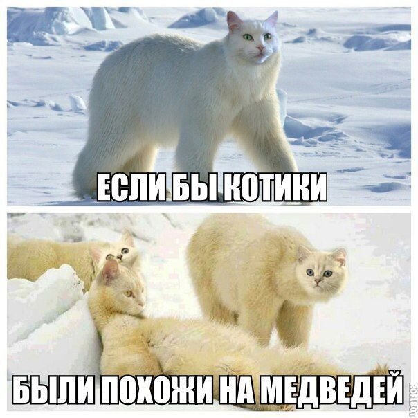Чуток картинок  22.04.20