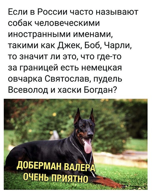 Баянисто-небаянистый юмор. 30.11.20