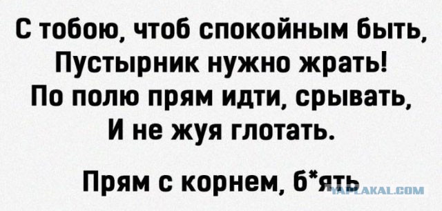От светло серого до чёрного 4.0