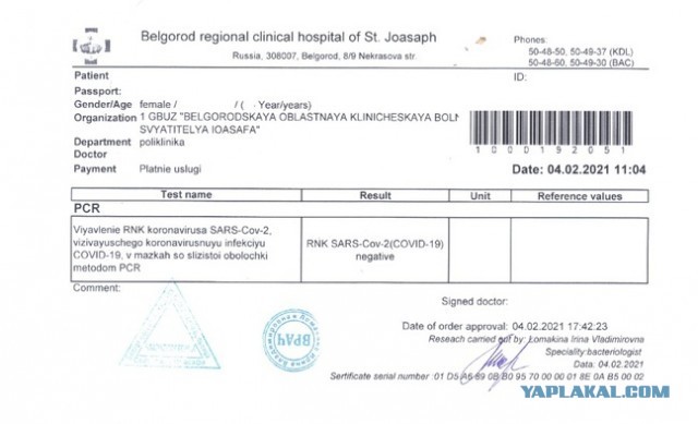 У иностранного таможенника «округлились глаза» от ковид-справки белгородки