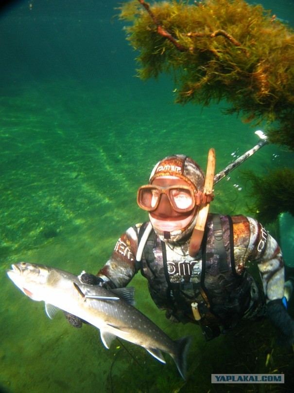 Нереальная красота таёжного озера