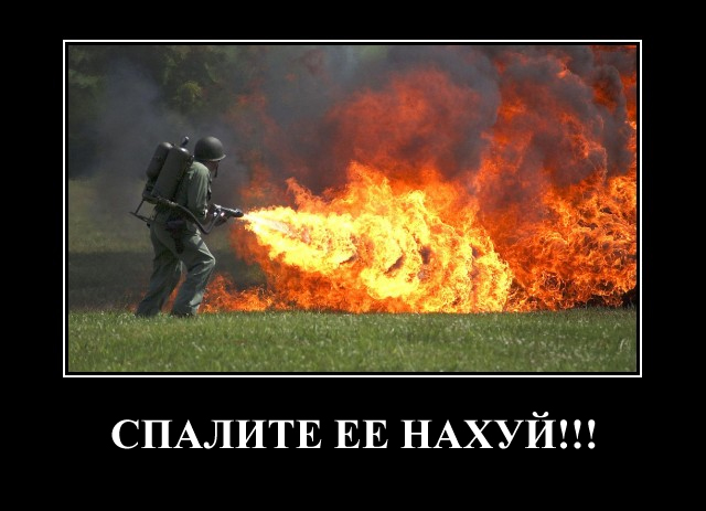 Украинская теле-"звезда"