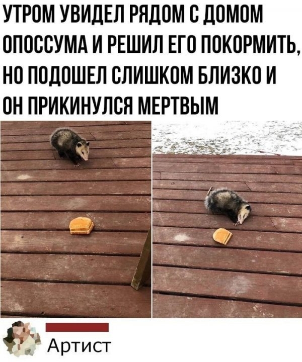 Всякие разные картинки 14.07.21