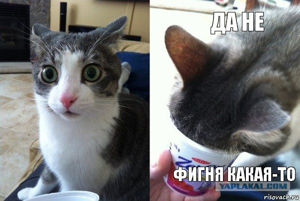 Реальный Николай Второй: палач и его жертвы