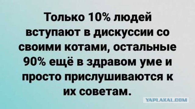 Так себе картинки 10.05.22