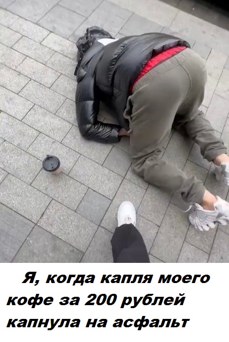 Весёлый полтишок 10.11.22