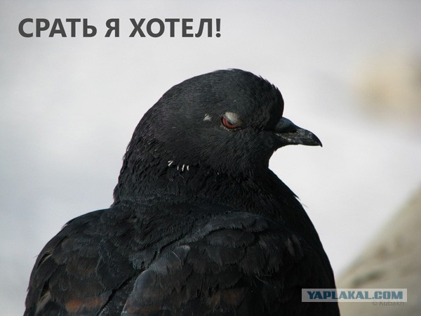 Проверки на дорогах
