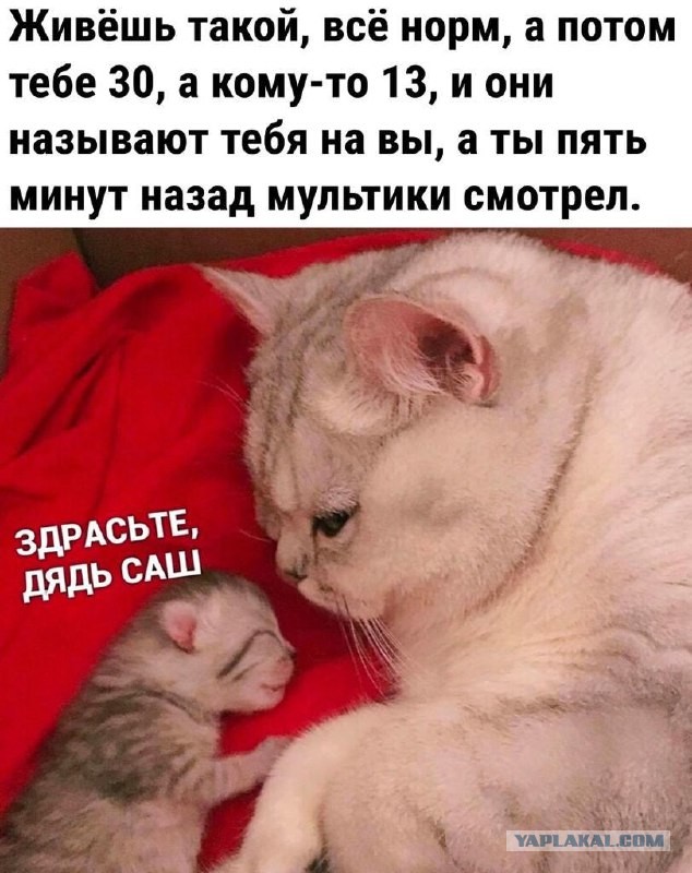 А хотите реально о**еть? Вот ты вроде молодой, и раз...