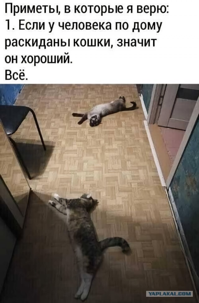 Сколько любовников должно быть у женщины после 50?